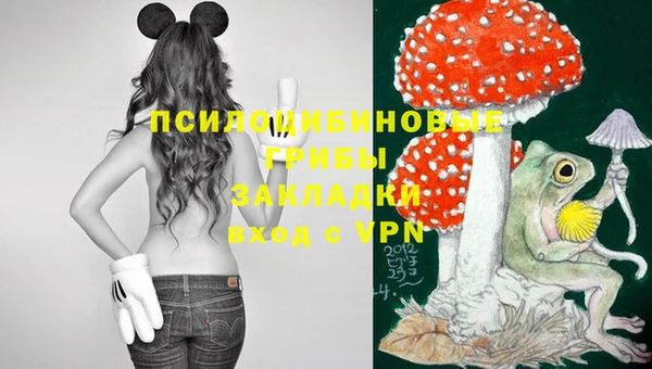 MDMA Дмитриев