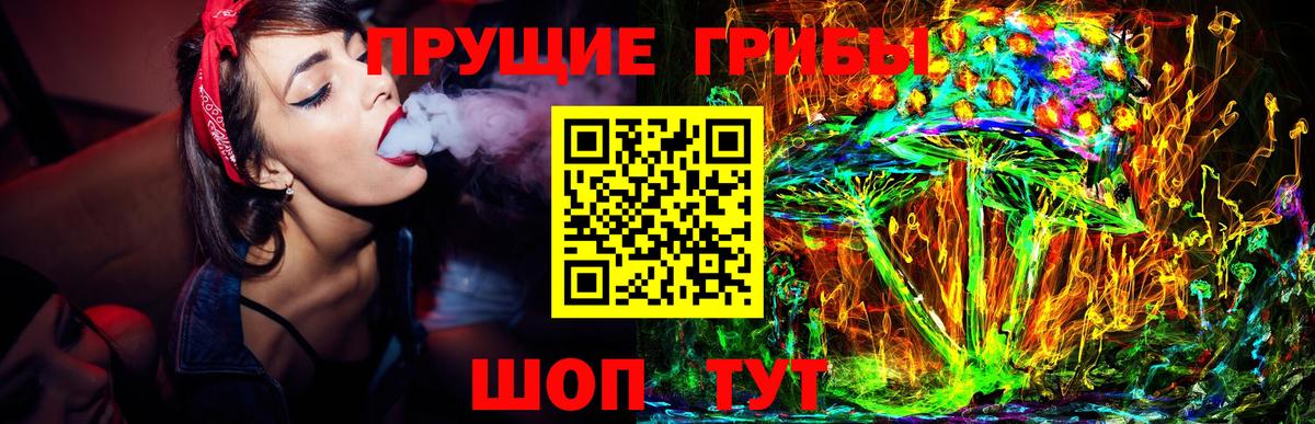 Реутов  Галлюциногенные грибы Psilocybine cubensis  Вход с VPN  Псилоцибиновые грибы Psilocybe 