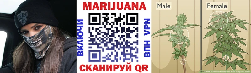 Бошки марихуана ГИДРОПОН Реутов